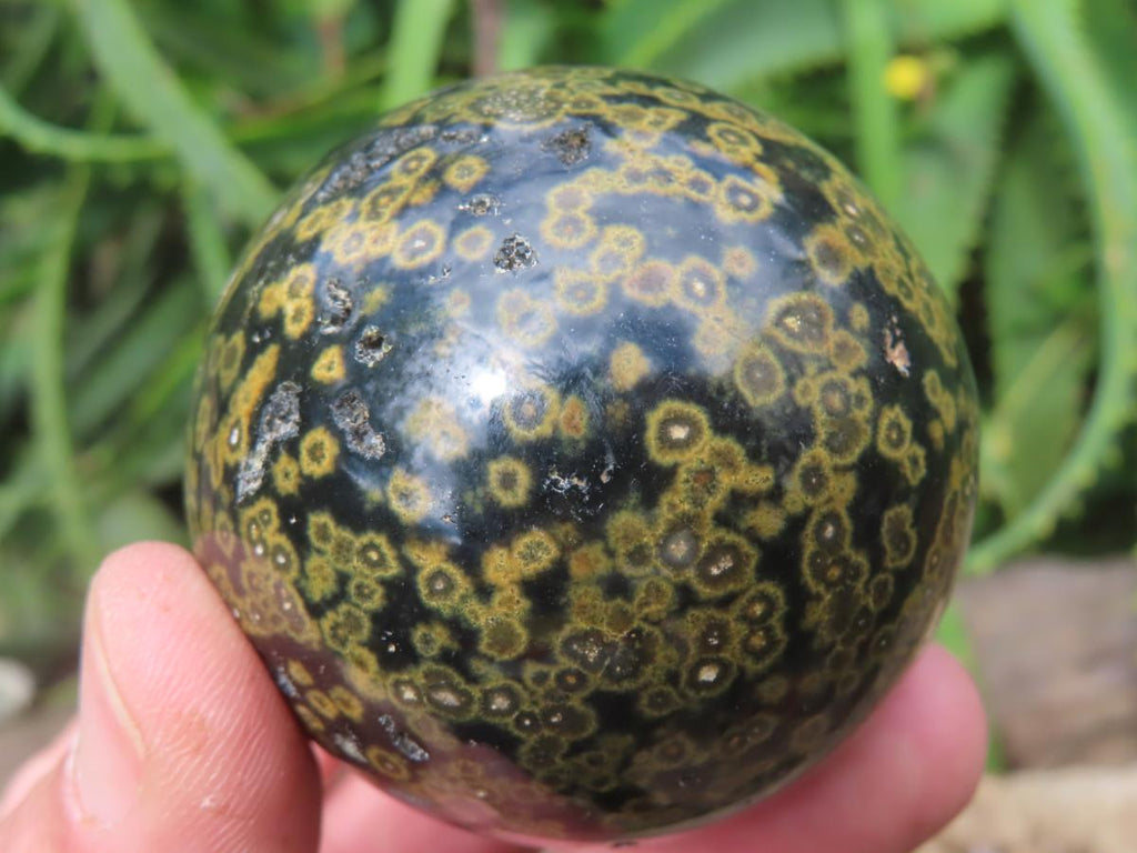 Polished Orbicular Ocean Jasper Sphere x 1 From Madagascar