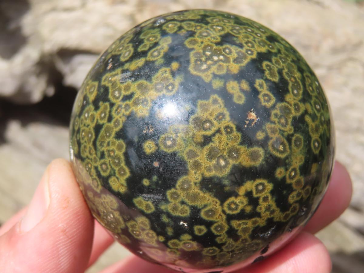 Polished Orbicular Ocean Jasper Sphere x 1 From Madagascar
