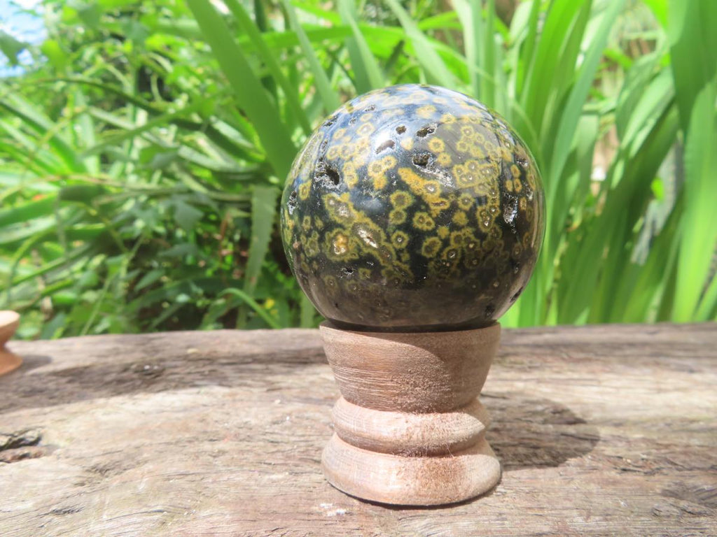 Polished Orbicular Ocean Jasper Sphere x 1 From Madagascar