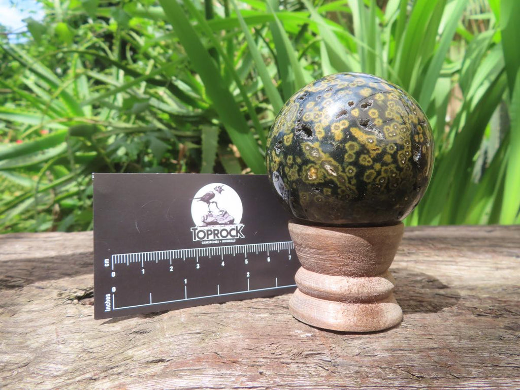 Polished Orbicular Ocean Jasper Sphere x 1 From Madagascar
