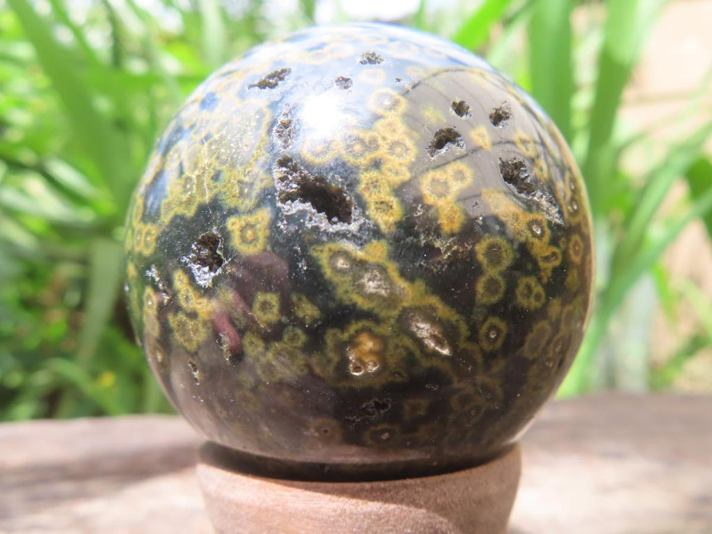 Polished Orbicular Ocean Jasper Sphere x 1 From Madagascar