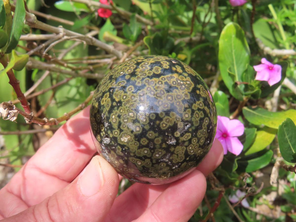 Polished Orbicular Ocean Jasper Sphere x 1 From Madagascar