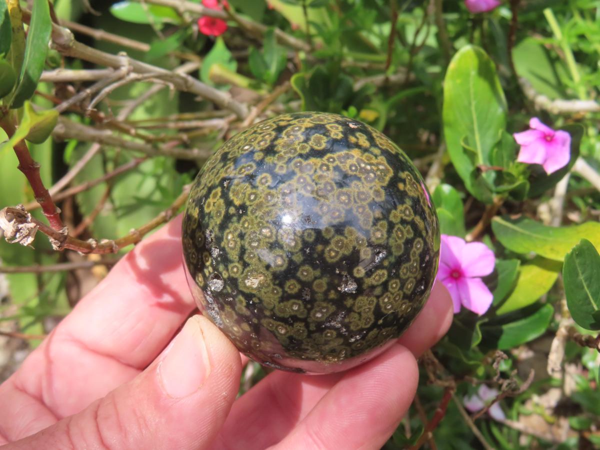 Polished Orbicular Ocean Jasper Sphere x 1 From Madagascar
