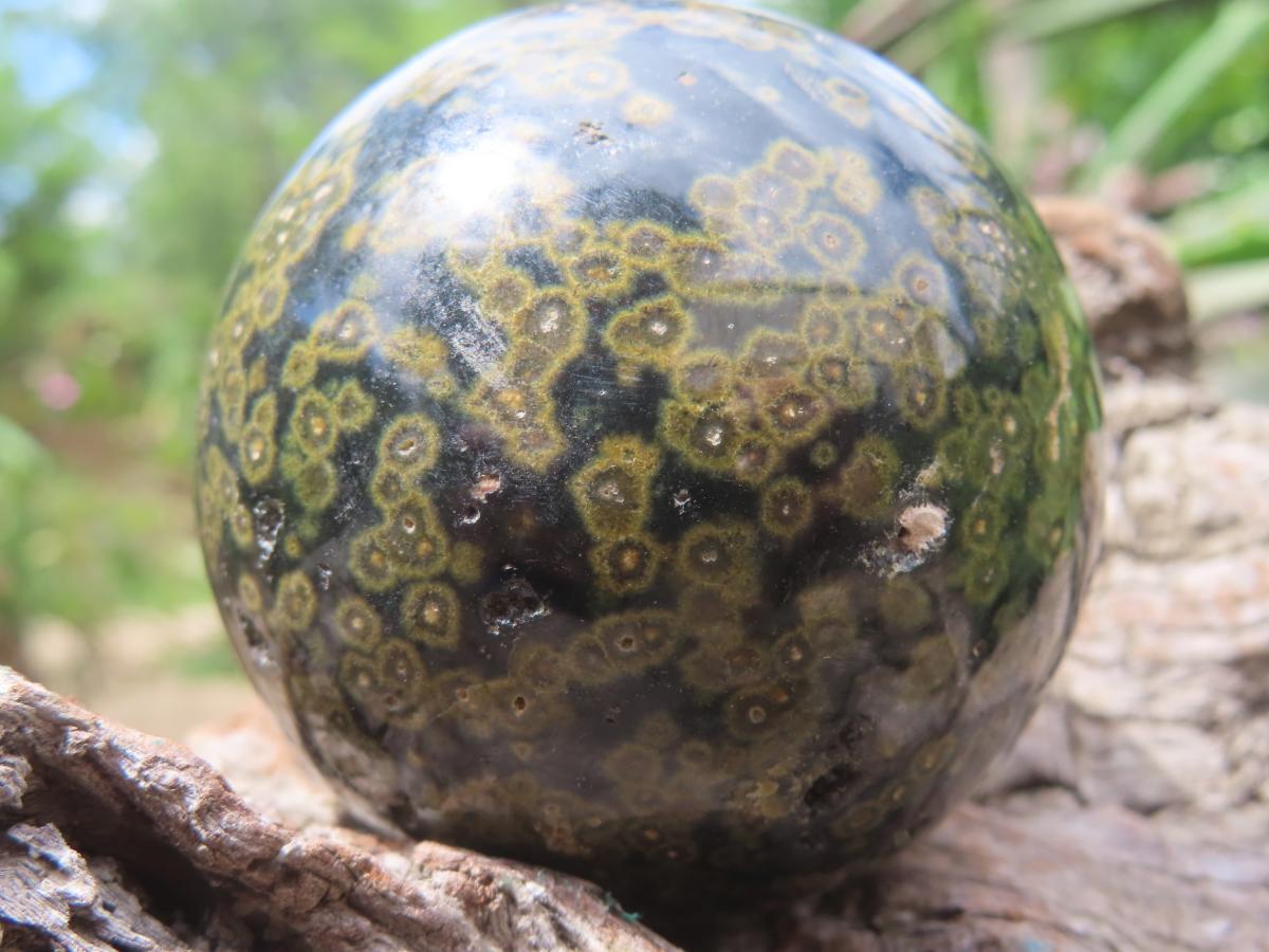 Polished Orbicular Ocean Jasper Sphere x 1 From Madagascar