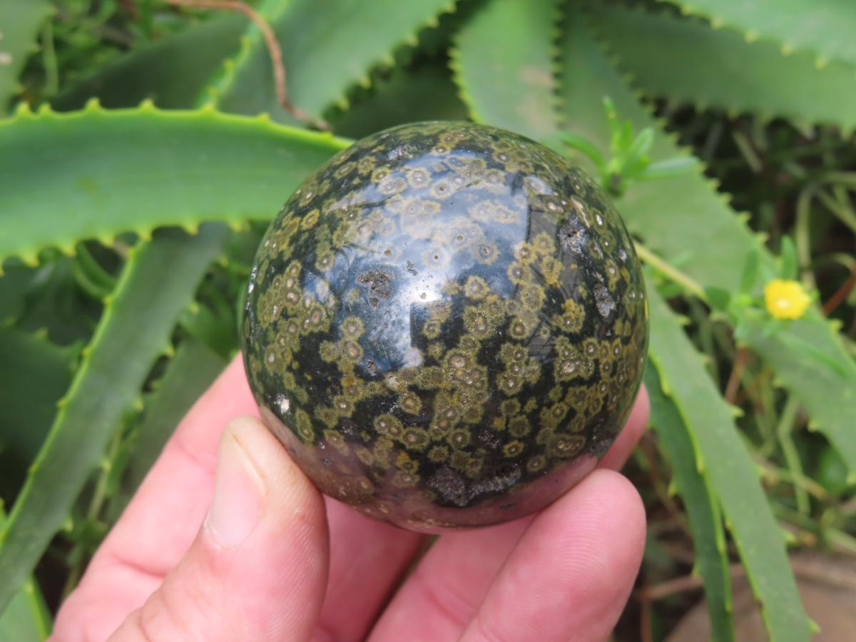 Polished Orbicular Ocean Jasper Sphere x 1 From Madagascar
