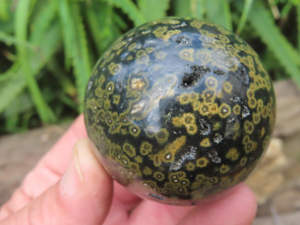 Polished Orbicular Ocean Jasper Sphere x 1 From Madagascar