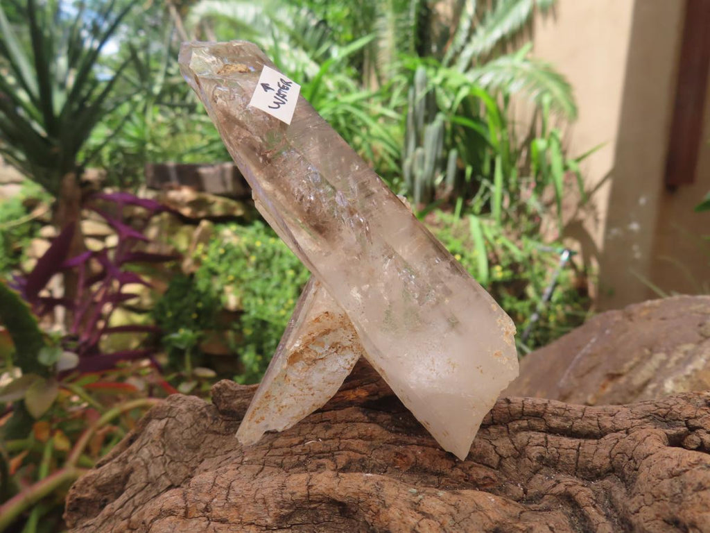 Natural Crisscross Smokey Quartz With Enhydro x 1 From Brandberg Namibia