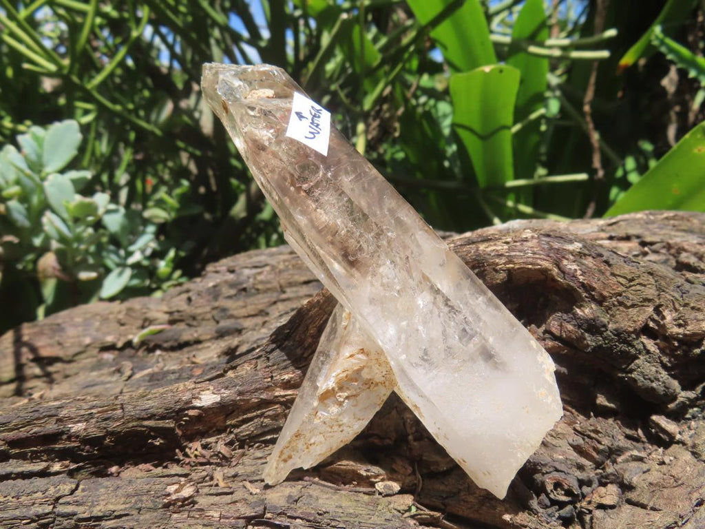 Natural Crisscross Smokey Quartz With Enhydro x 1 From Brandberg Namibia