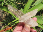 Natural Crisscross Smokey Quartz With Enhydro x 1 From Brandberg Namibia