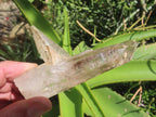 Natural Crisscross Smokey Quartz With Enhydro x 1 From Brandberg Namibia