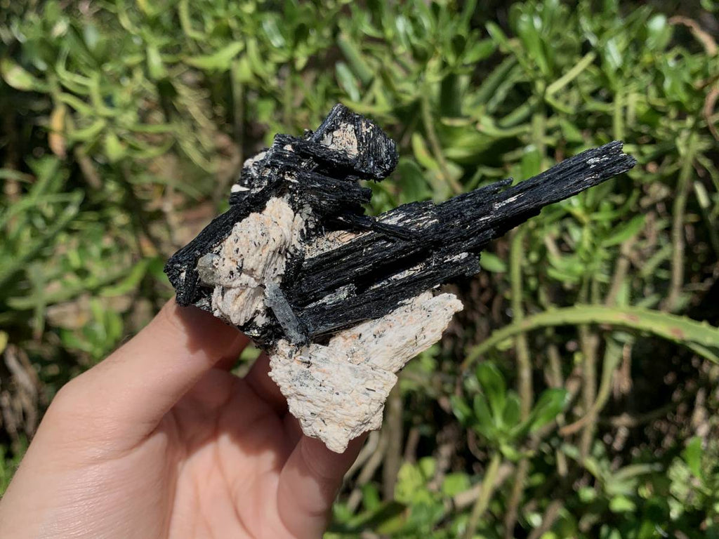 Natural Shiny Schorl Black Tourmaline With Aquamarine Crystal And Feldspar x 1 From Erongo, Namibia