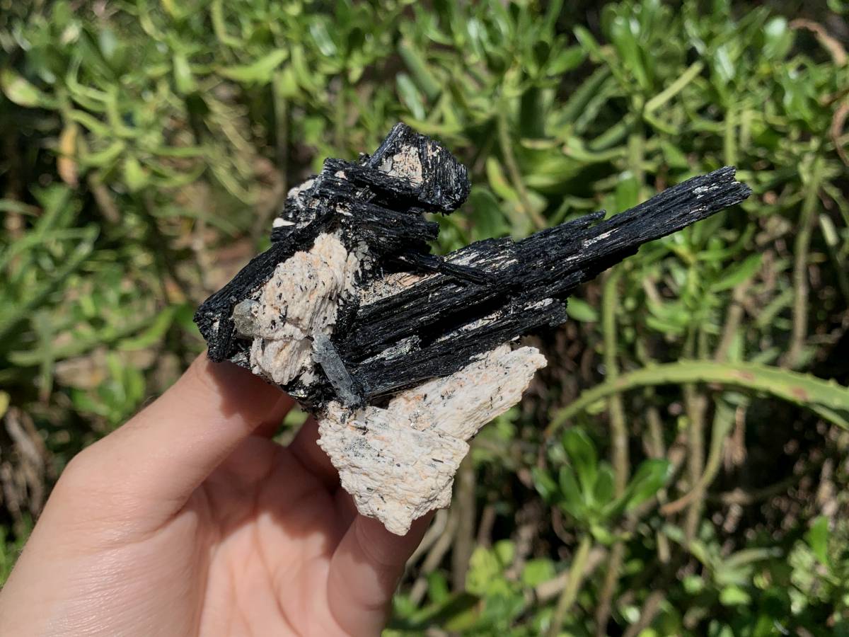 Natural Shiny Schorl Black Tourmaline With Aquamarine Crystal And Feldspar x 1 From Erongo, Namibia