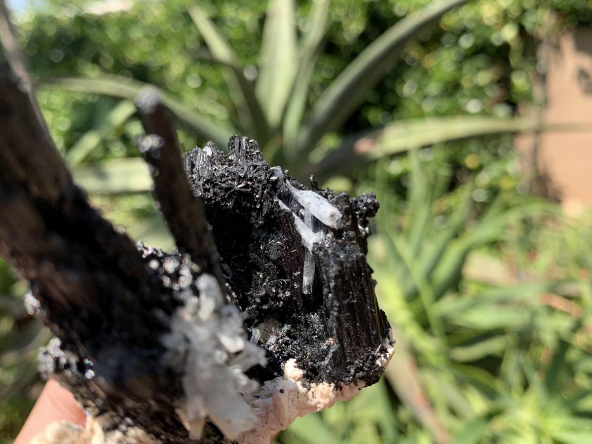 Natural Shiny Schorl Black Tourmaline With Aquamarine Crystal And Feldspar x 1 From Erongo, Namibia