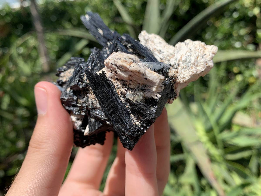 Natural Shiny Schorl Black Tourmaline With Aquamarine Crystal And Feldspar x 1 From Erongo, Namibia