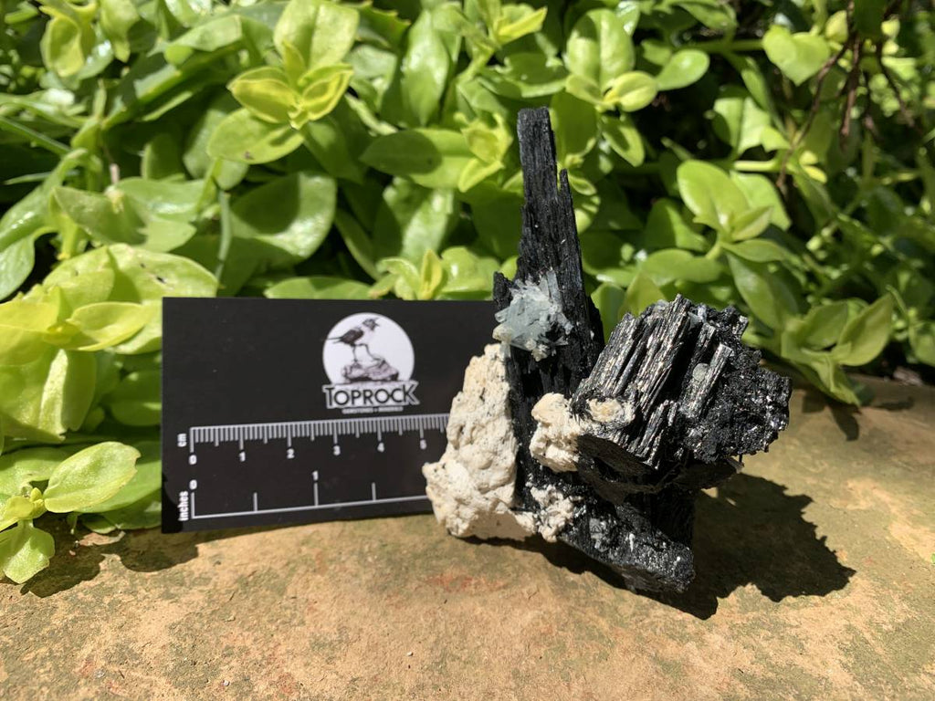 Natural Shiny Schorl Black Tourmaline With Aquamarine Crystal And Feldspar x 1 From Erongo, Namibia