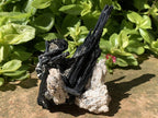 Natural Shiny Schorl Black Tourmaline With Aquamarine Crystal And Feldspar x 1 From Erongo, Namibia