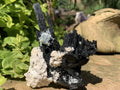Natural Shiny Schorl Black Tourmaline With Aquamarine Crystal And Feldspar x 1 From Erongo, Namibia