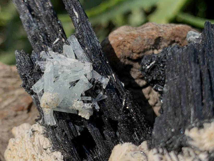 Natural Shiny Schorl Black Tourmaline With Aquamarine Crystal And Feldspar x 1 From Erongo, Namibia