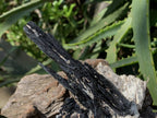 Natural Shiny Schorl Black Tourmaline With Aquamarine Crystal And Feldspar x 1 From Erongo, Namibia