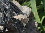 Natural Shiny Schorl Black Tourmaline With Aquamarine Crystal And Feldspar x 1 From Erongo, Namibia