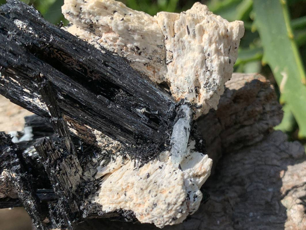 Natural Shiny Schorl Black Tourmaline With Aquamarine Crystal And Feldspar x 1 From Erongo, Namibia