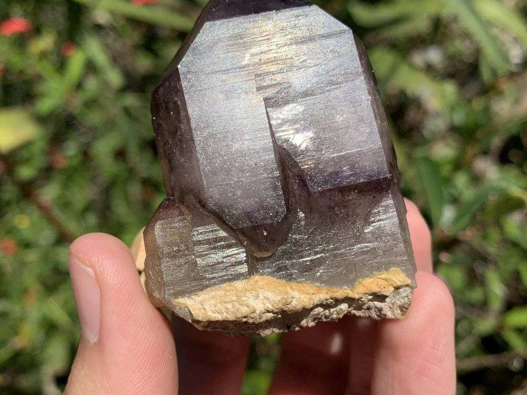 Natural Double Terminated Tabular Sceptre Window Amethyst Crystal With Enhydro x 1 From Brandberg, Namibia