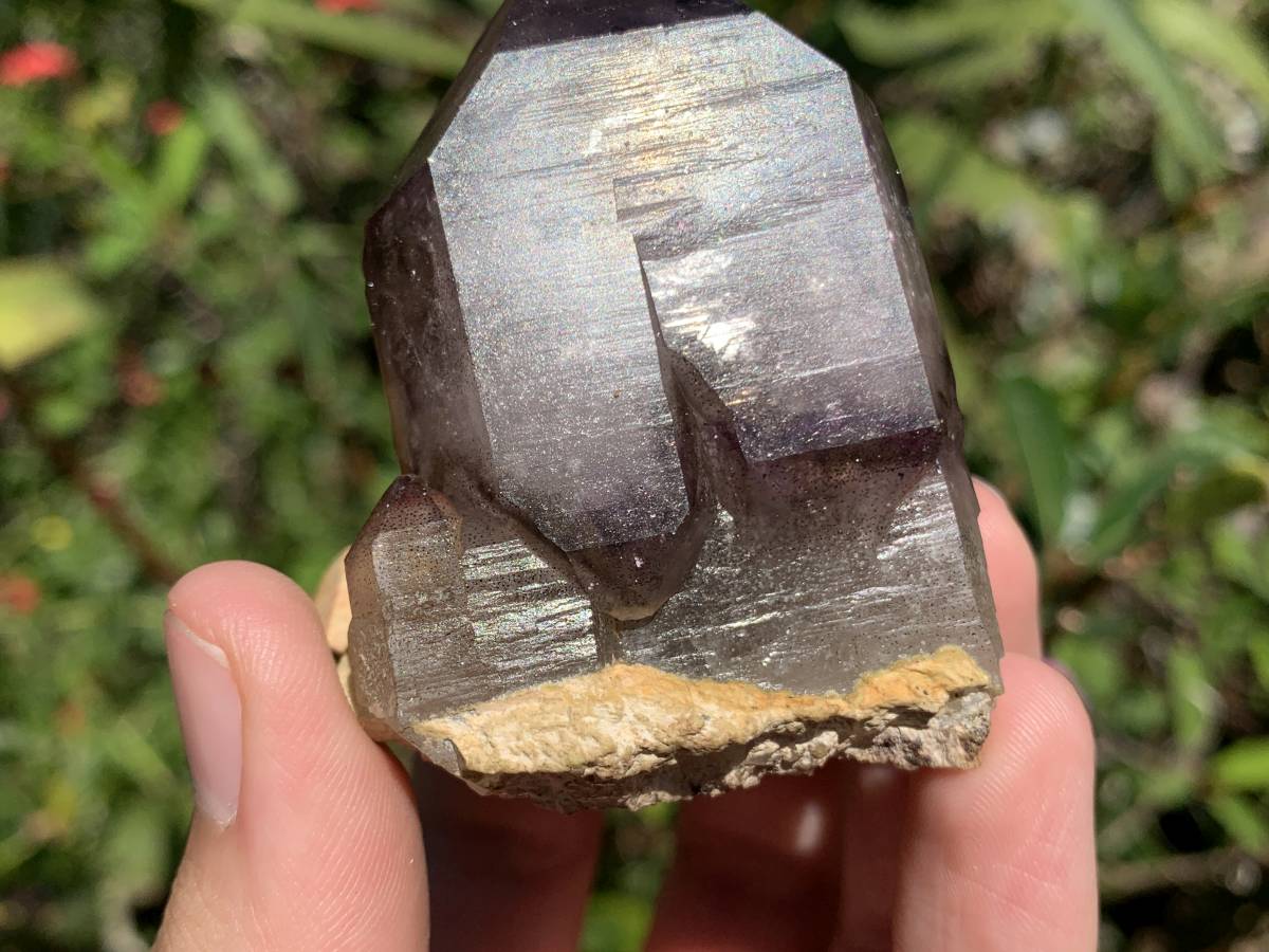 Natural Double Terminated Tabular Sceptre Window Amethyst Crystal With Enhydro x 1 From Brandberg, Namibia