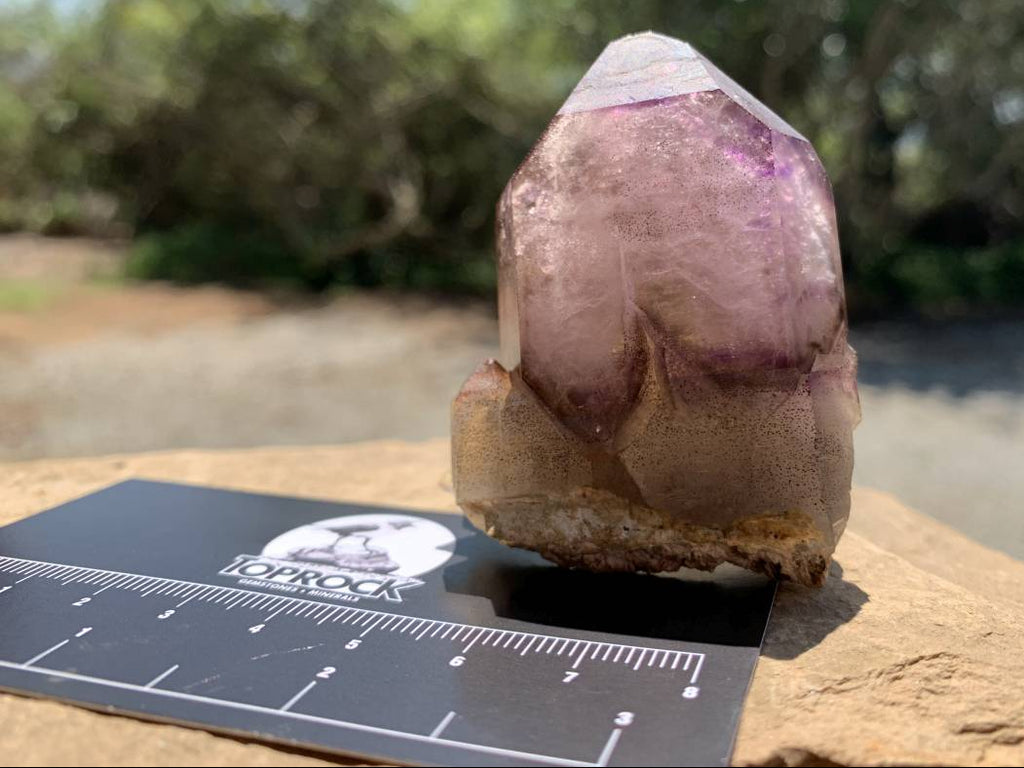 Natural Double Terminated Tabular Sceptre Window Amethyst Crystal With Enhydro x 1 From Brandberg, Namibia