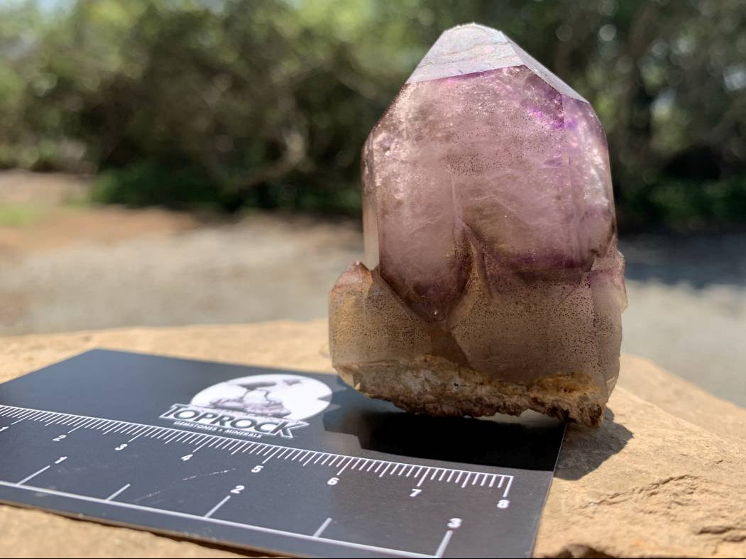 Natural Double Terminated Tabular Sceptre Window Amethyst Crystal With Enhydro x 1 From Brandberg, Namibia