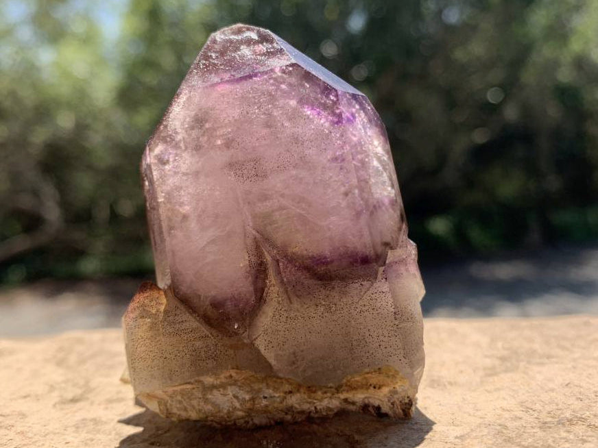 Natural Double Terminated Tabular Sceptre Window Amethyst Crystal With Enhydro x 1 From Brandberg, Namibia