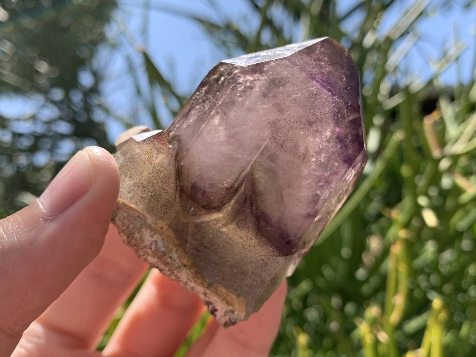 Natural Double Terminated Tabular Sceptre Window Amethyst Crystal With Enhydro x 1 From Brandberg, Namibia