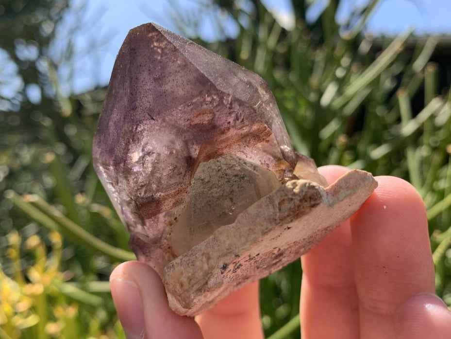 Natural Double Terminated Tabular Sceptre Window Amethyst Crystal With Enhydro x 1 From Brandberg, Namibia