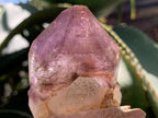 Natural Double Terminated Tabular Sceptre Window Amethyst Crystal With Enhydro x 1 From Brandberg, Namibia