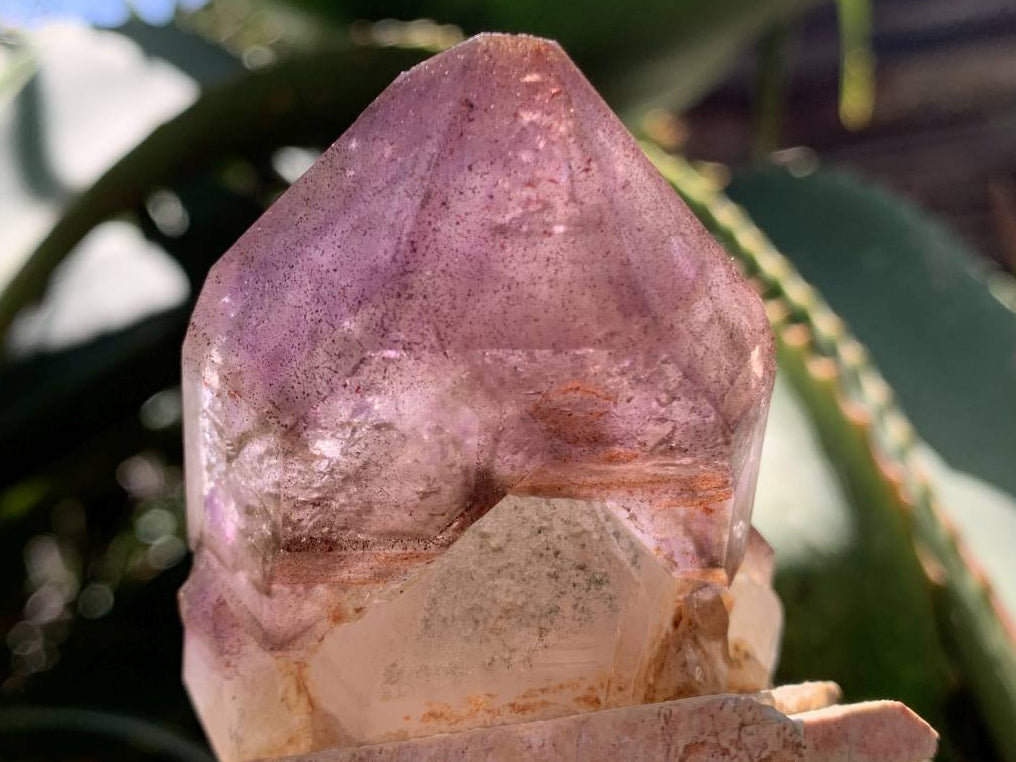 Natural Double Terminated Tabular Sceptre Window Amethyst Crystal With Enhydro x 1 From Brandberg, Namibia