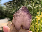 Natural Double Terminated Tabular Sceptre Window Amethyst Crystal With Enhydro x 1 From Brandberg, Namibia