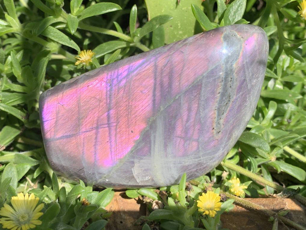 Polished Rare Purple Sunset Flash Labradorite Display Piece x 1 From Tulear, Madagascar