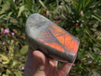 Polished Rare Purple Sunset Flash Labradorite Display Piece x 1 From Tulear, Madagascar
