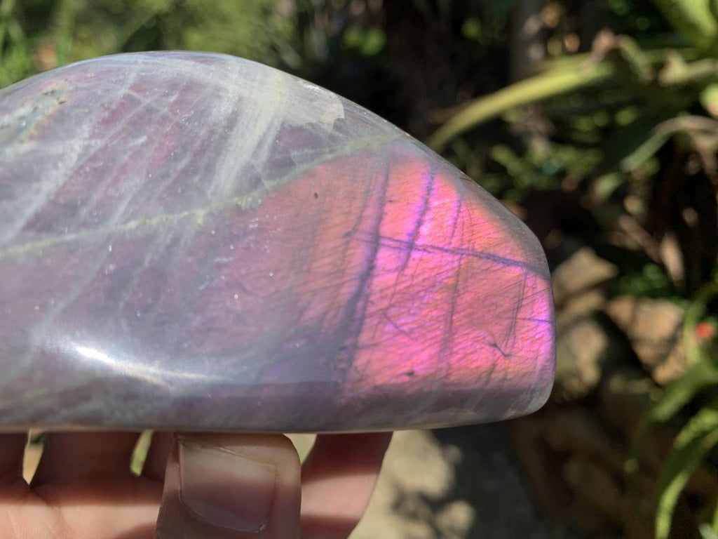 Polished Rare Purple Sunset Flash Labradorite Display Piece x 1 From Tulear, Madagascar