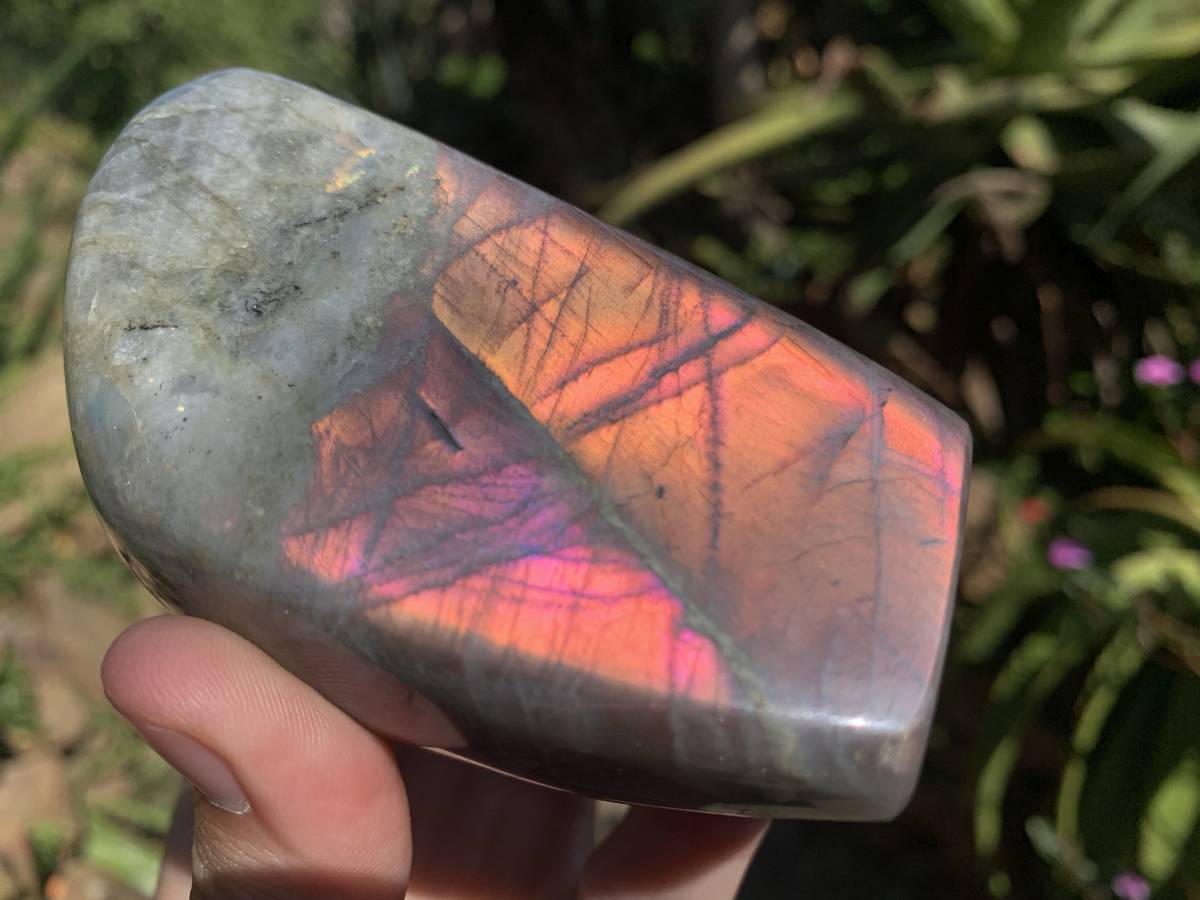 Polished Rare Purple Sunset Flash Labradorite Display Piece x 1 From Tulear, Madagascar