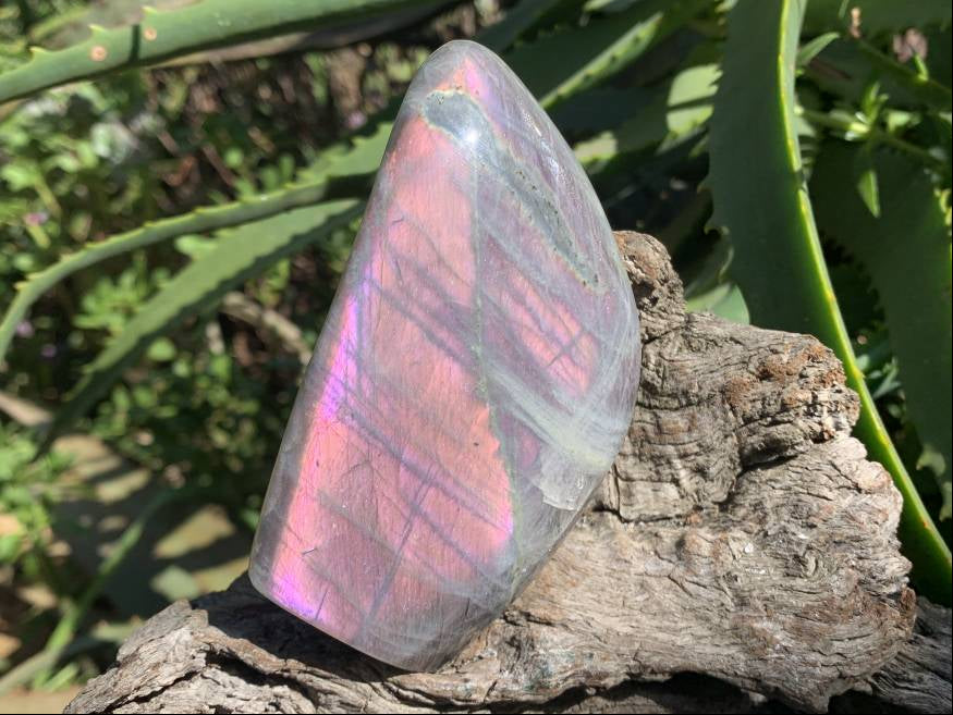 Polished Rare Purple Sunset Flash Labradorite Display Piece x 1 From Tulear, Madagascar