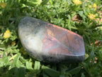 Polished Rare Purple Sunset Flash Labradorite Display Piece x 1 From Tulear, Madagascar
