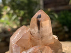 Polished Smokey Tourmilated Quartz Cluster x 1 From Madagascar