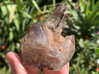 Polished Smokey Tourmilated Quartz Cluster x 1 From Madagascar