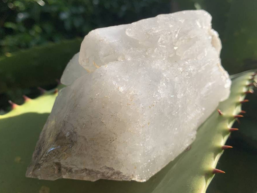 Natural Frosty Window Smokey Quartz Crystal x 1 From Orange River, South Africa