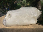 Natural Frosty Window Smokey Quartz Crystal x 1 From Orange River, South Africa
