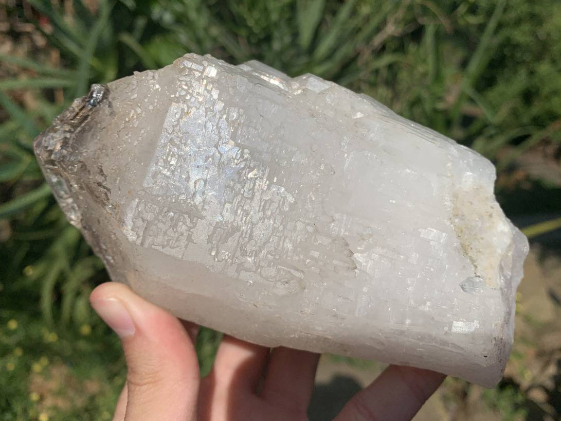 Natural Frosty Window Smokey Quartz Crystal x 1 From Orange River, South Africa