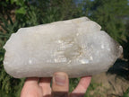 Natural Frosty Window Smokey Quartz Crystal x 1 From Orange River, South Africa