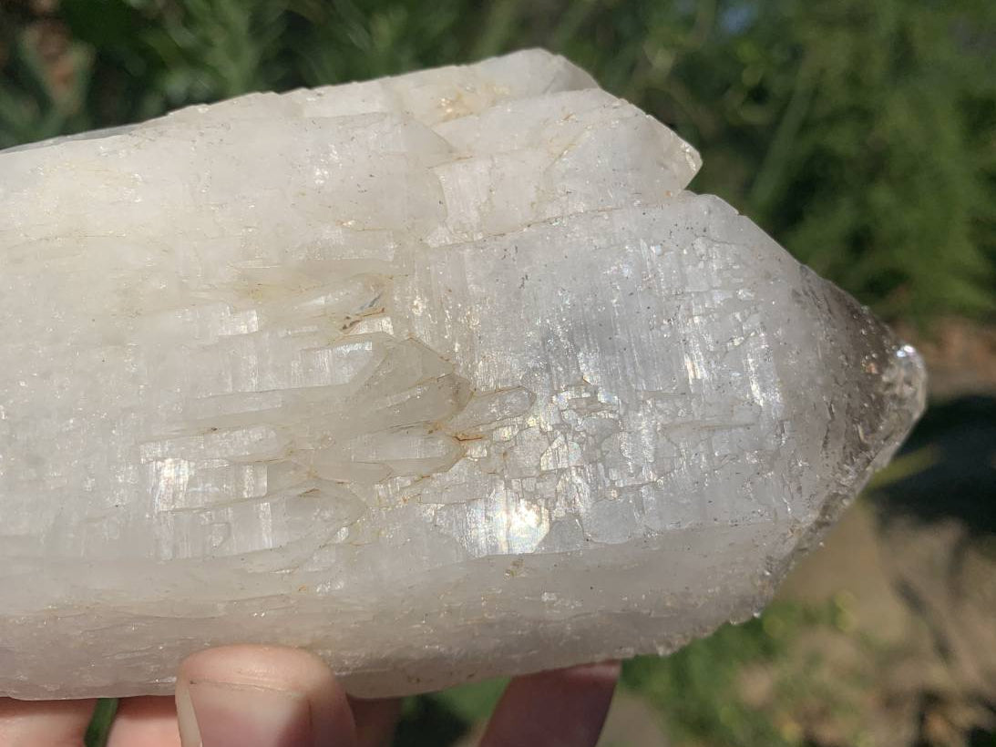 Natural Frosty Window Smokey Quartz Crystal x 1 From Orange River, South Africa