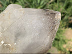 Natural Frosty Window Smokey Quartz Crystal x 1 From Orange River, South Africa