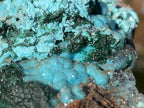 Natural Drusy Crystalline Coated Chrysocolla with Crystalline Malachite On Dolomite x 1 From Lupoto Mine, Congo
